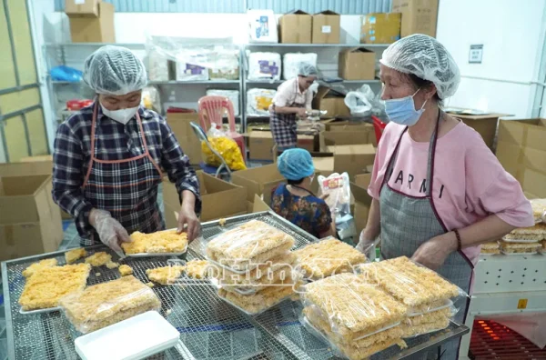Hưng Yên: Để thương mại điện tử thúc đẩy phát triển cho doanh nghiệp